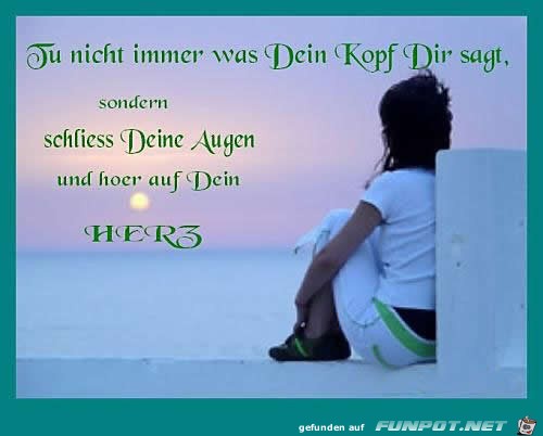 10 schöne Sprüche und Lebensweisheiten aus...
